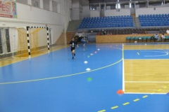 2013_2014_atletika