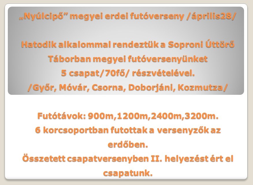 nyulcipo