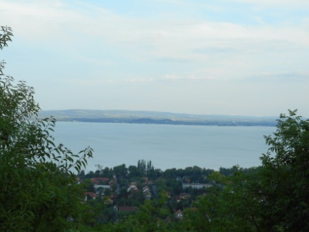 DSCN3186