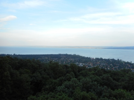 DSCN3196