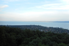 DSCN3196