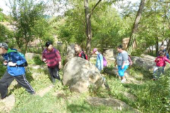 DSCN3238