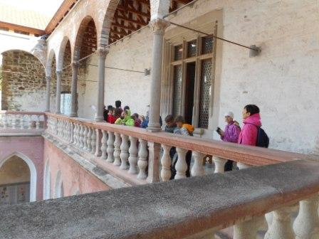 DSCN5953