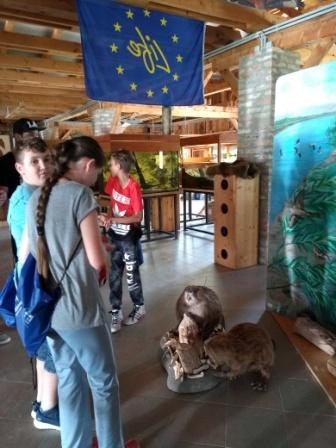 IMG_20190617_110439082