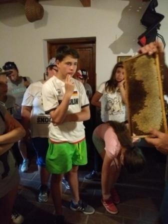 IMG_20190619_105826711