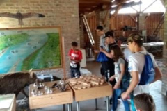 IMG_20190617_110557903