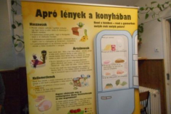DSCN6731