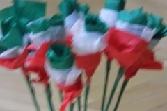 DSCN2034